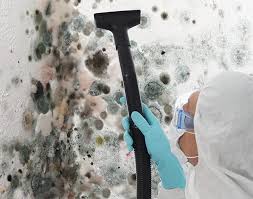 Professional Mold Remediation in Crozet, VA